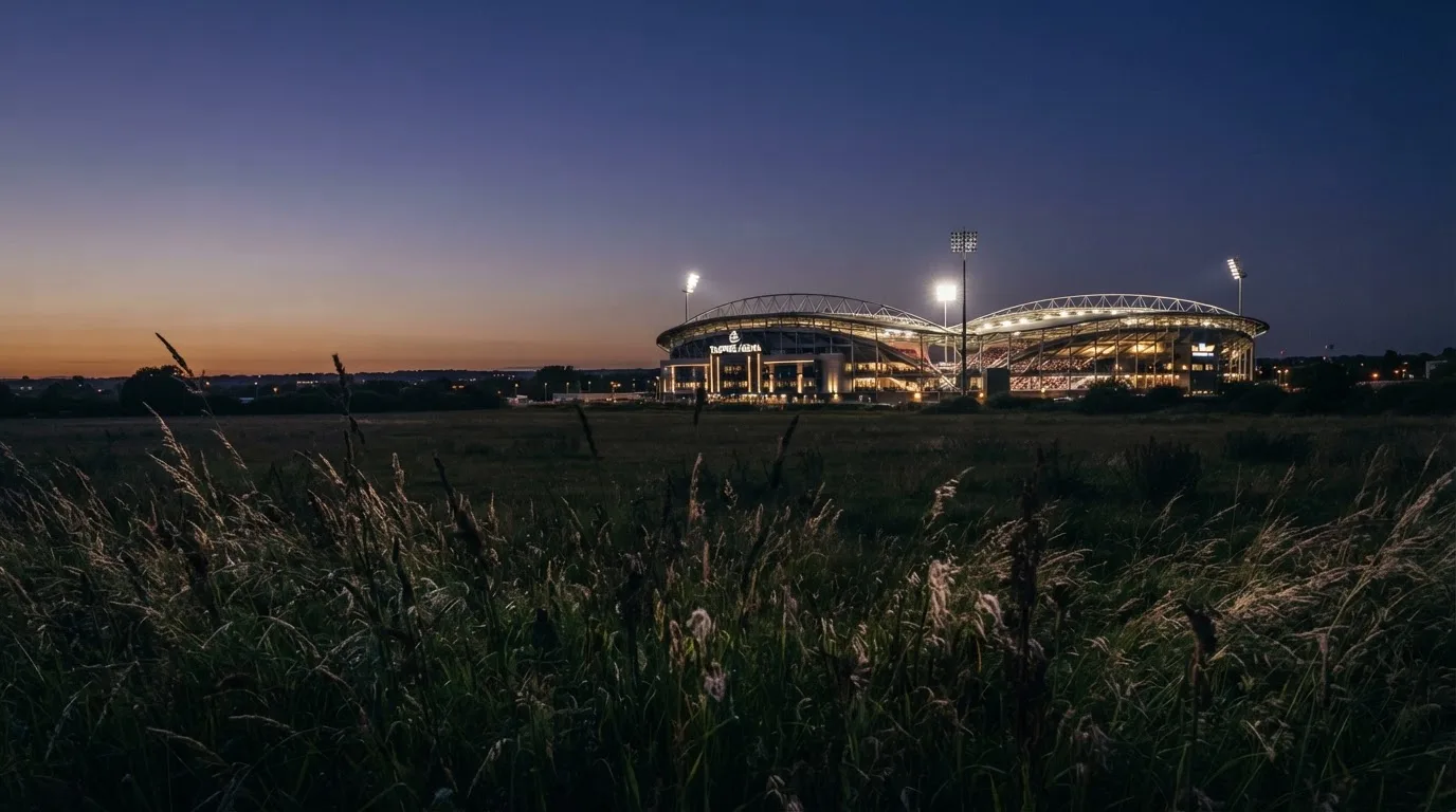 Ein hell beleuchtetes Stadion aus der Ferne in der Dämmerung, im Vordergrund ein Feld mit hohem Gras.