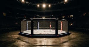 UFC Wetten in Deutschland 2026 – Buchmacher, Regeln & Kosten